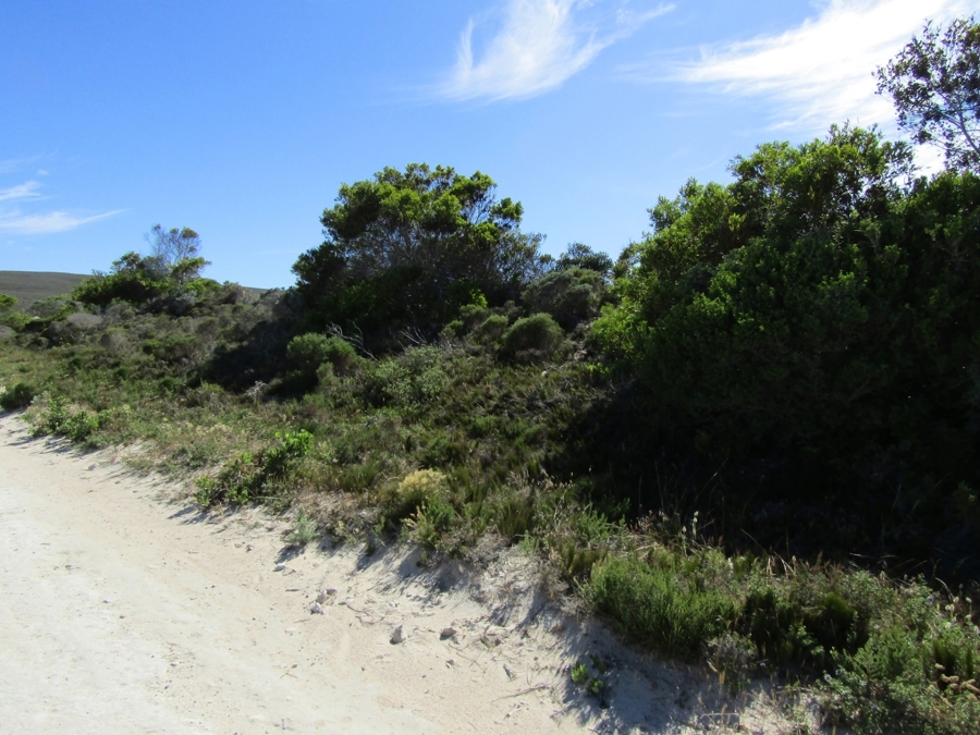 0 Bedroom Property for Sale in Suiderstrand Western Cape